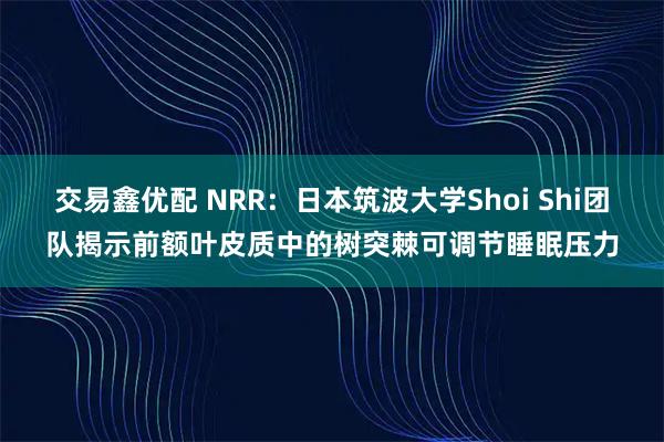 交易鑫优配 NRR：日本筑波大学Shoi Shi团队揭示前额叶皮质中的树突棘可调节睡眠压力