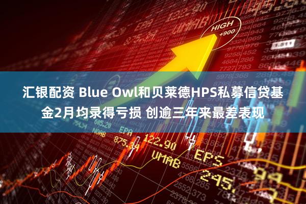 汇银配资 Blue Owl和贝莱德HPS私募信贷基金2月均录得亏损 创逾三年来最差表现